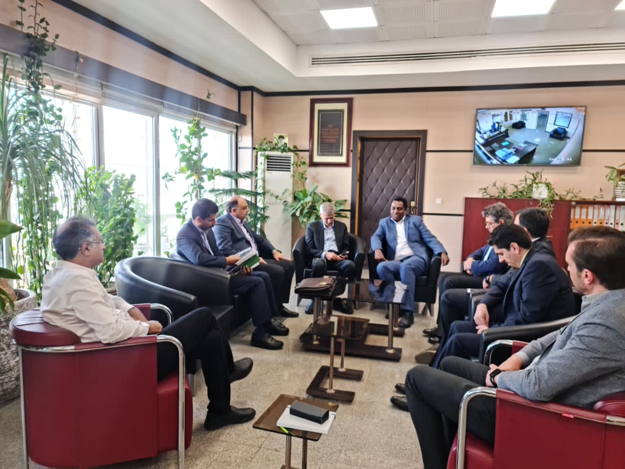 مهندس فرشاد فرزین