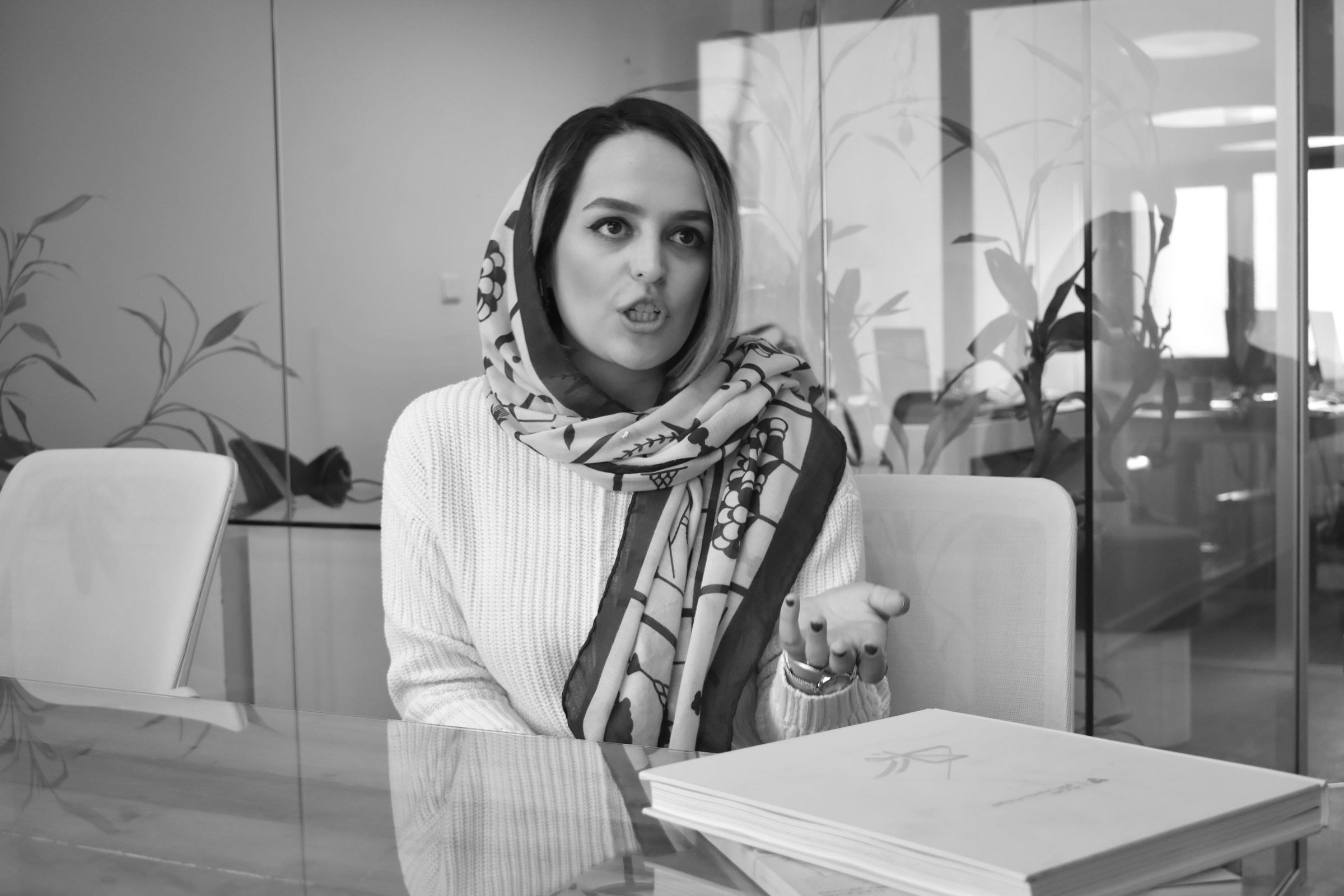 مهندس آیلر رفیعی