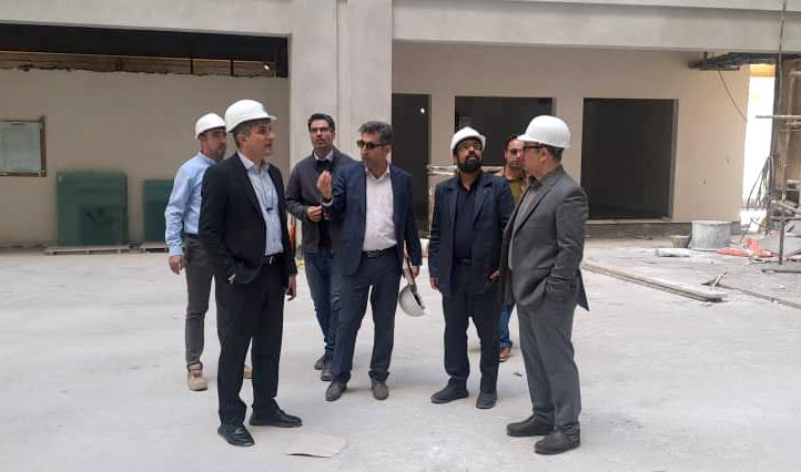 دکتر شمس الدین هاشمی